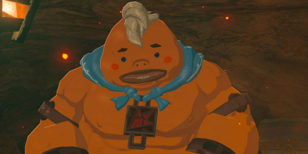 Герои Breath of the Wild по знакам китайского гороскопа Герои Breath of the Wild по знакам китайского гороскопа